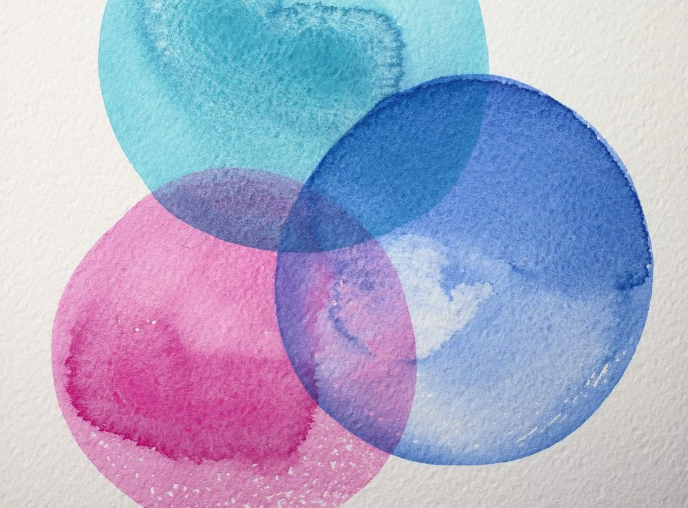 Cotman or Professional? Winsor & Newton Watercolours Compared