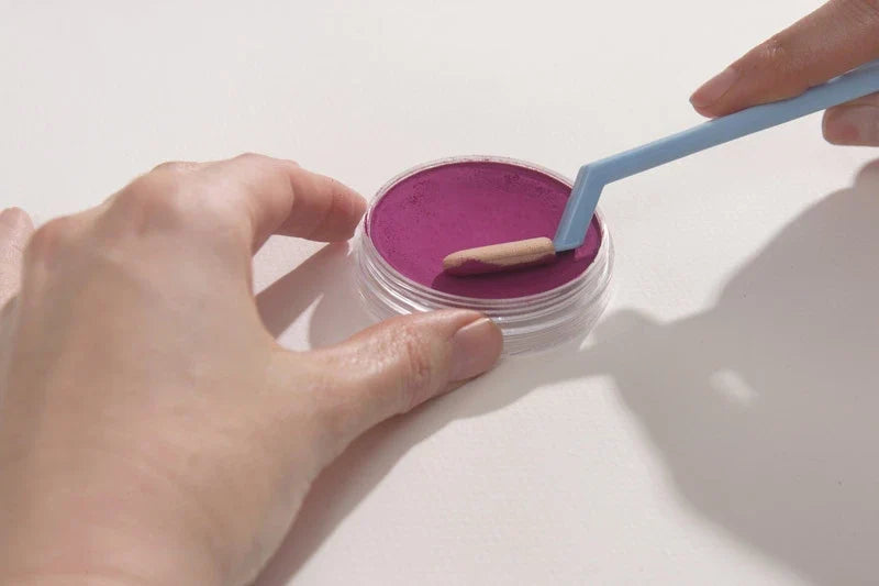 A Beginner's Guide to PanPastel
