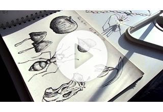 Cooksongold Staedtler Pigment Liner Technical Drawing Pens Review By Lydia Niziblian
