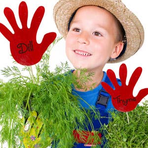 Educraft Herb Garden Hand Project