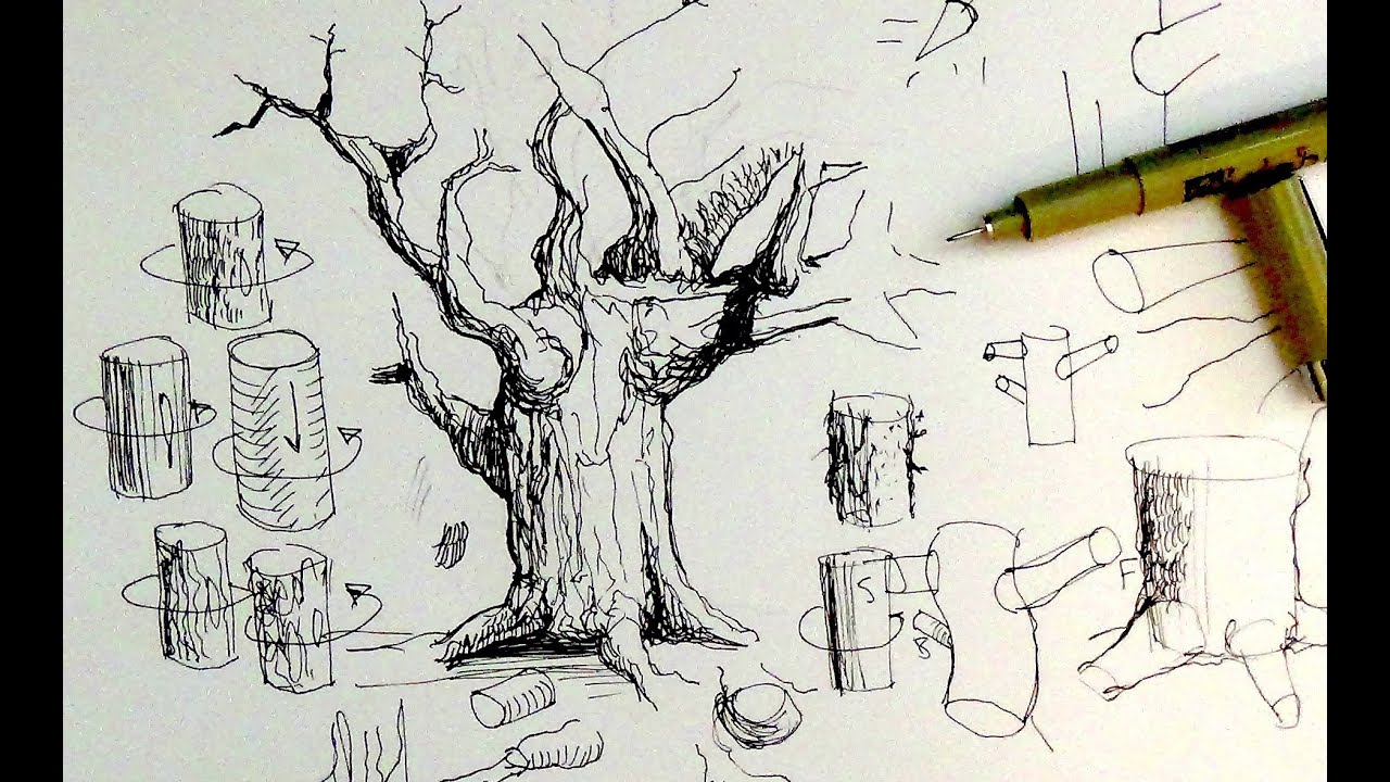 Pen & Ink Drawing Tutorials | How to draw tree trunks & branches