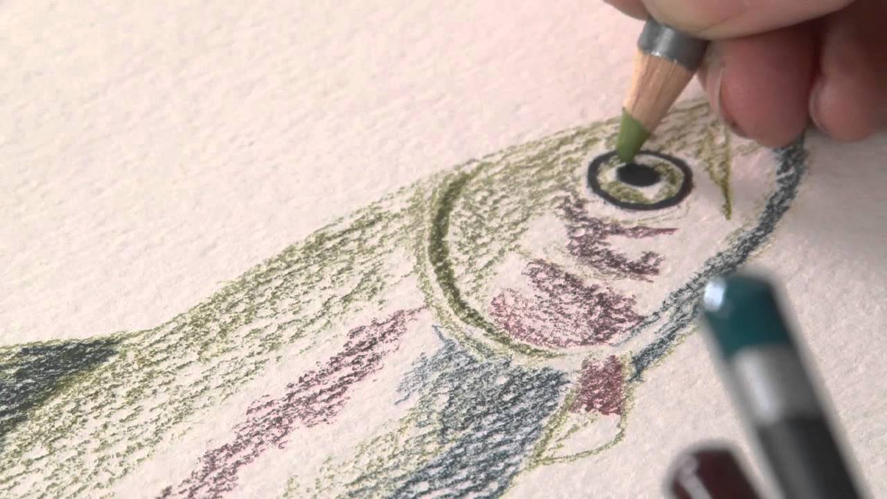 Using Derwent Graphitint Pencils