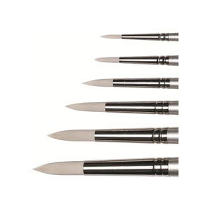 Oil Paint Brushes