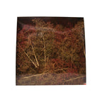 Jordan Natural Dry Tall Trees