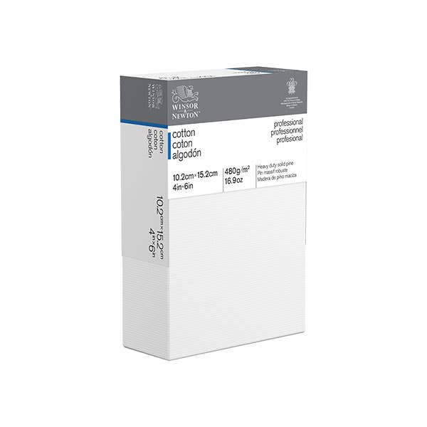Winsor & Newton Professional Thick Edge Canvases