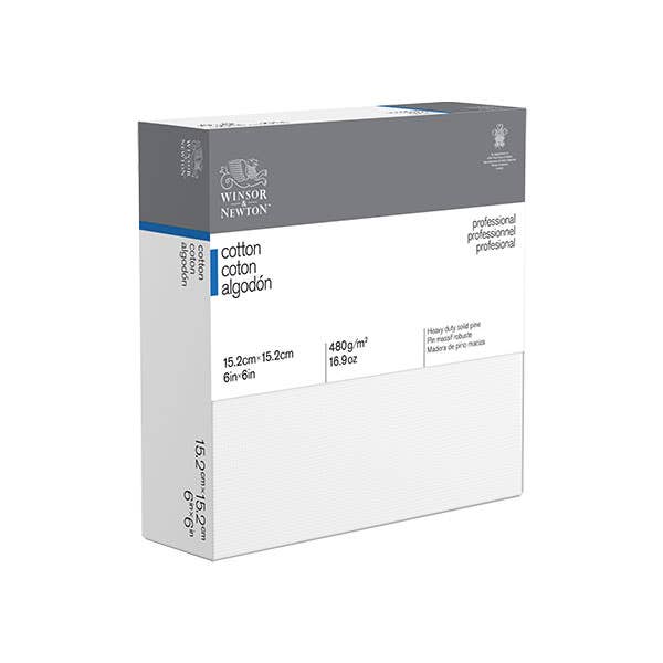 Winsor & Newton Professional Thick Edge Canvases
