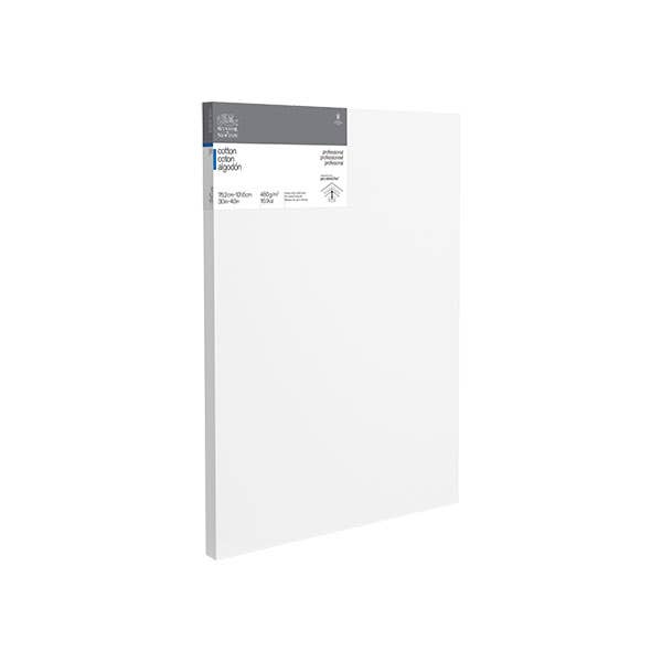Winsor & Newton Professional Thick Edge Canvases