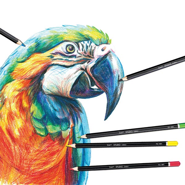 Jasart Studio Colour Pencil Tin Sets