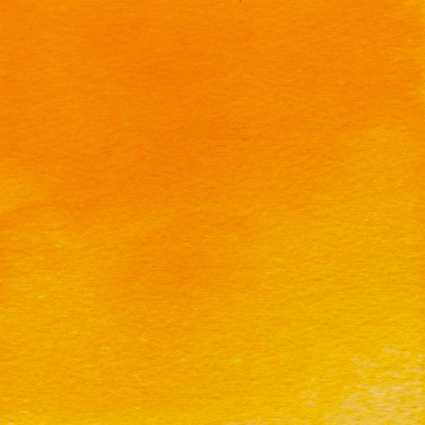 Winsor & Newton Professional Watercolour Paints 5ml