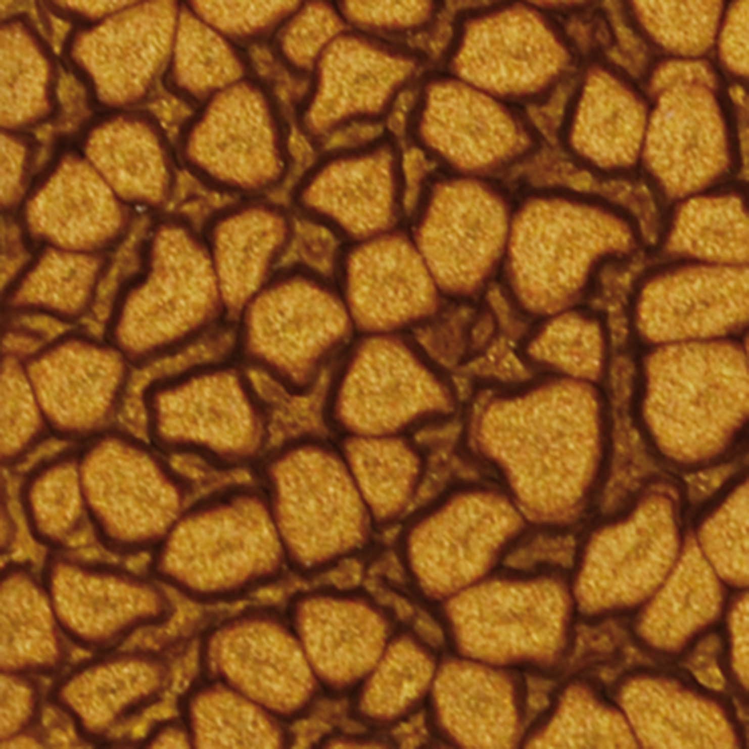 Pebeo Fantasy Prisme Effects Paints 45ml