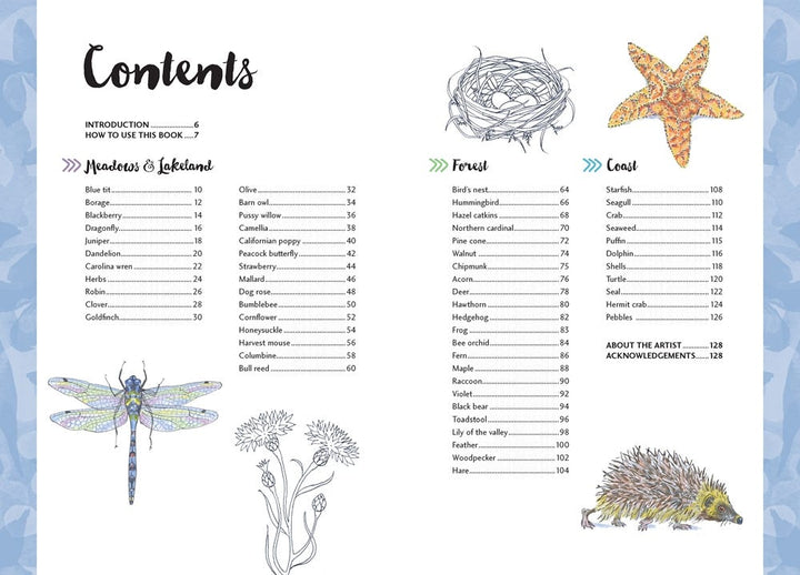 10 Step Drawing Nature Book