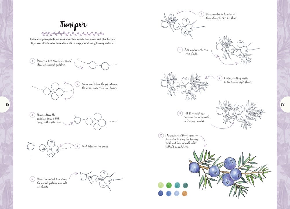 10 Step Drawing Nature Book