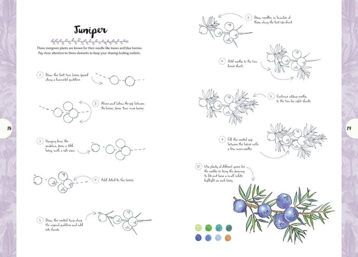 10 Step Drawing Nature Book
