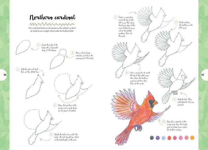 10 Step Drawing Nature Book