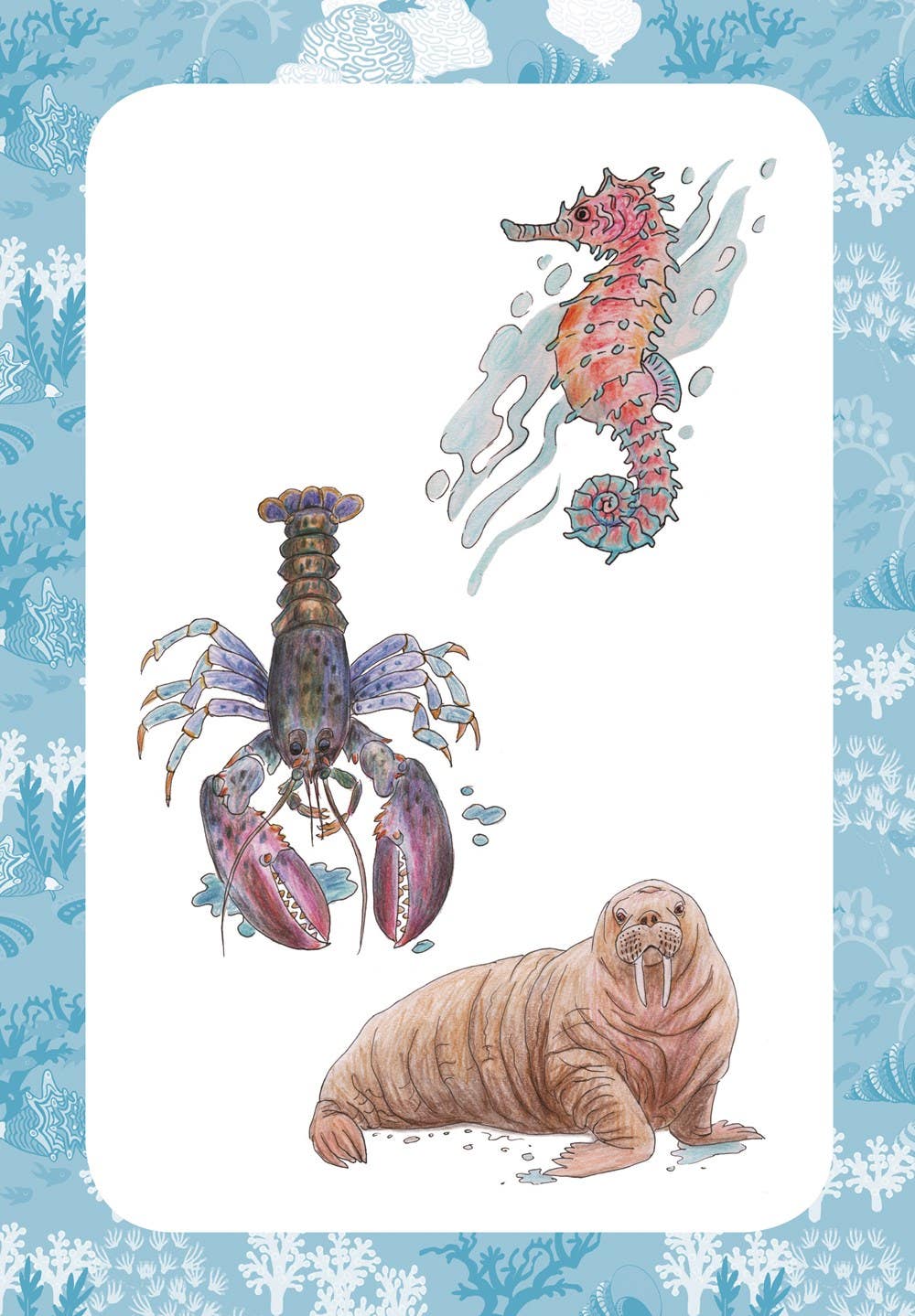 10 Step Drawing Animals Book