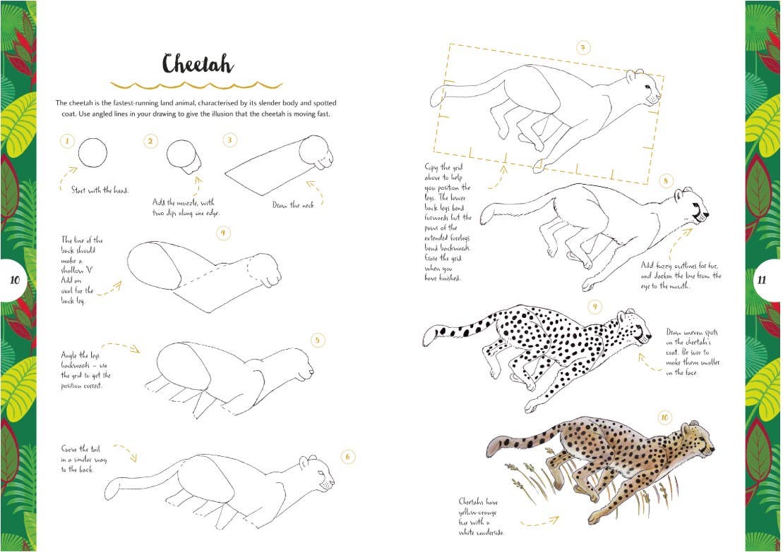 10 Step Drawing Animals Book