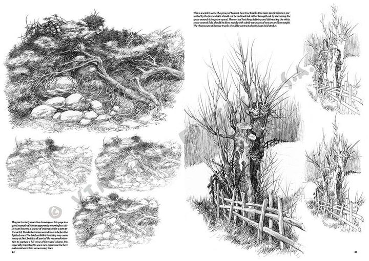 Leonardo Collection: 19 Landscapes Book