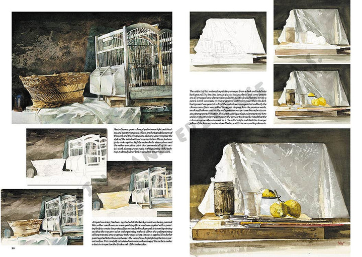 Leonardo Collection: 41 Still Life Book