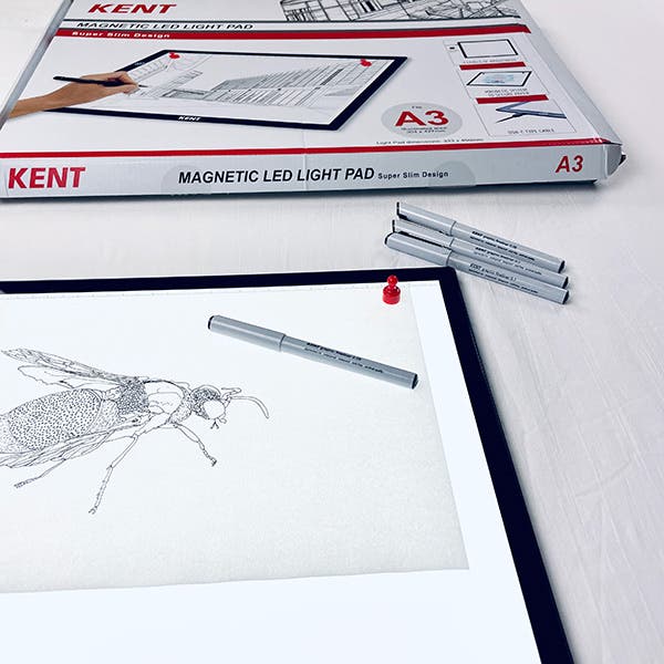 Kent Magnetic Lightpad A4