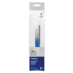 Winsor & Newton Cotman Brush Set 3