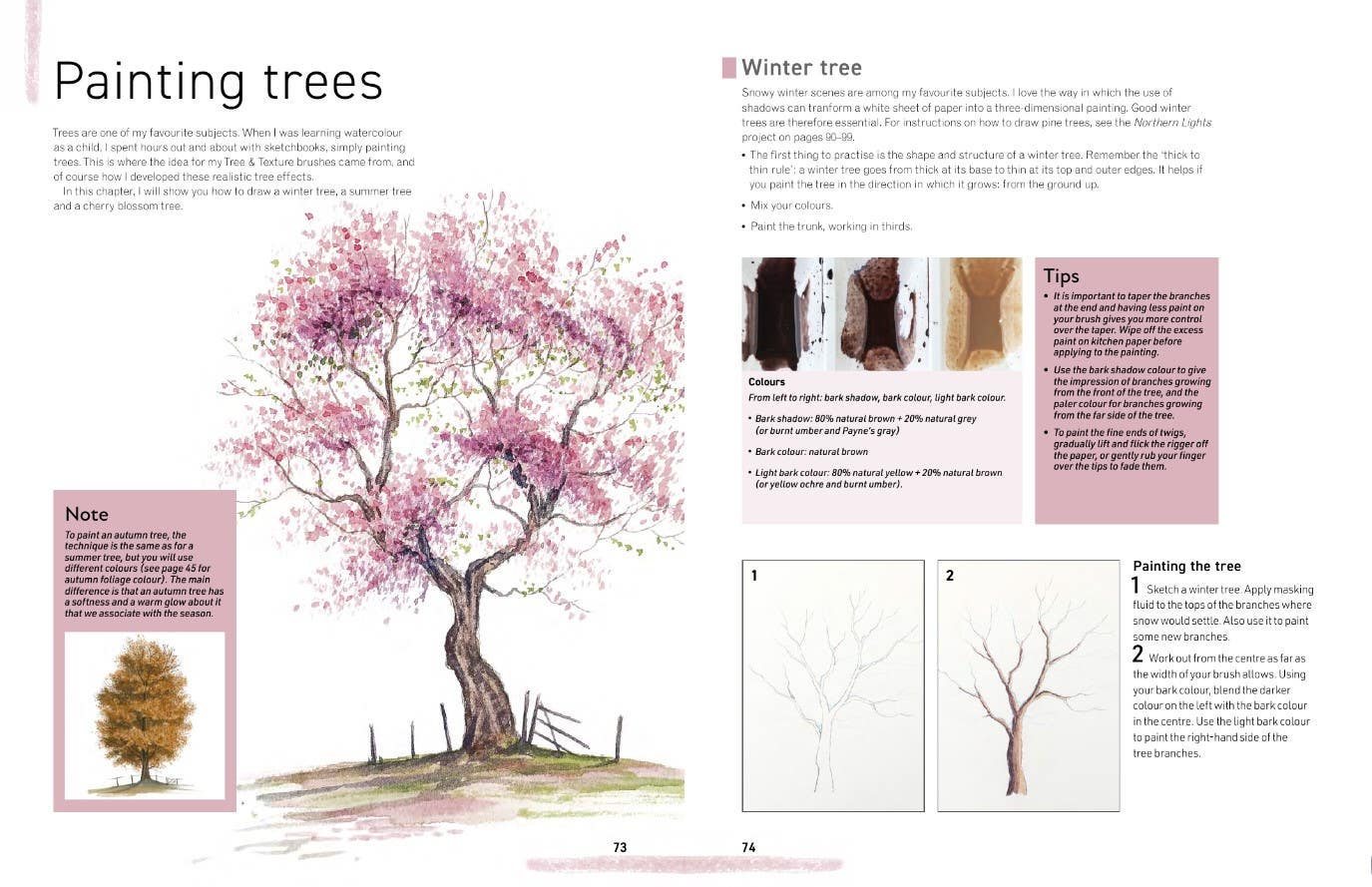 Watercolour Landscapes for the Absolute Beginner Book