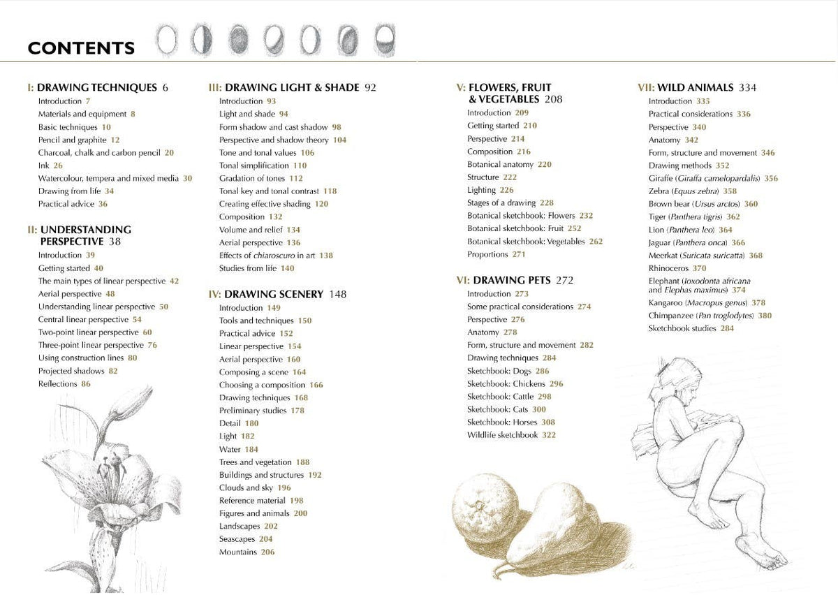 Drawing A Complete Guide Book: Nature