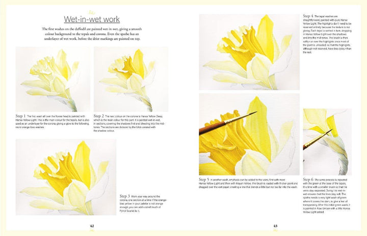 Botanical Watercolours Through The Seasons Book