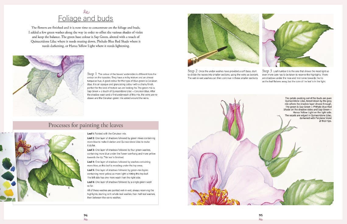 Botanical Watercolours Through The Seasons Book