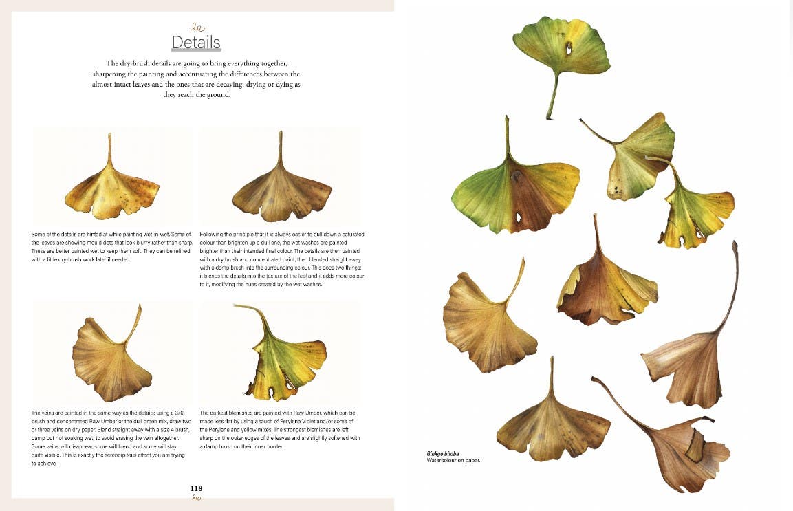 Botanical Watercolours Through The Seasons Book