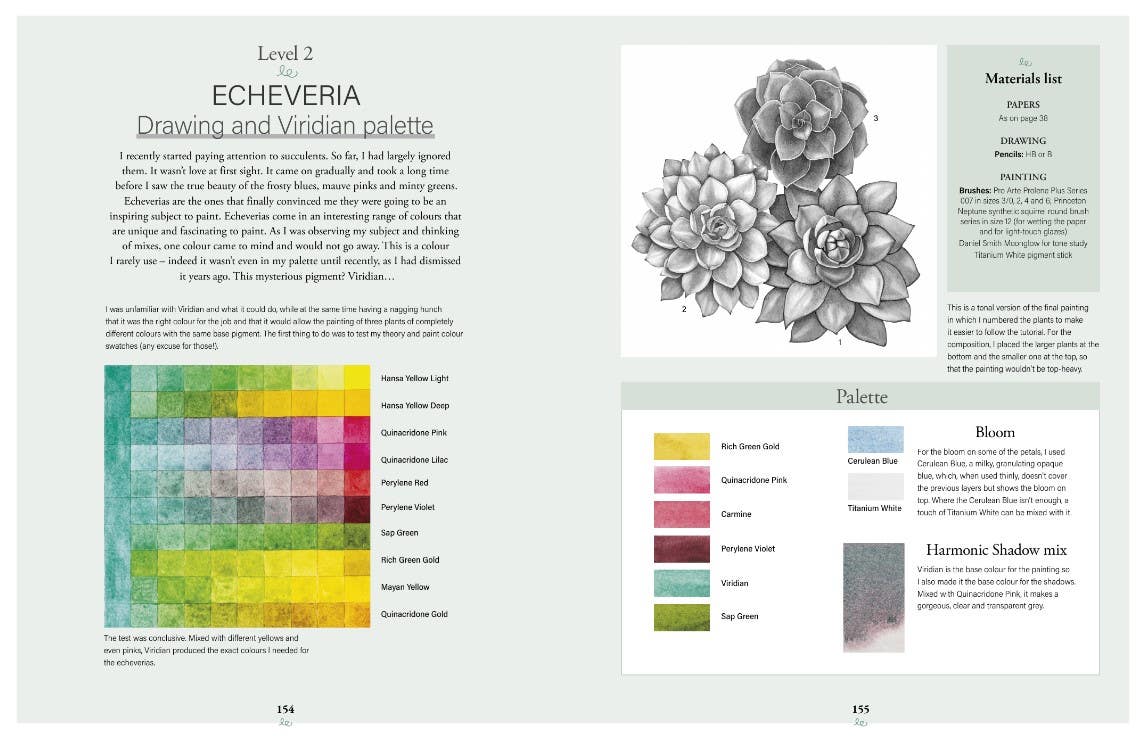 Botanical Watercolours Through The Seasons Book