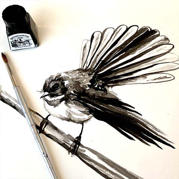 Winsor & Newton Drawing Inks 14ml