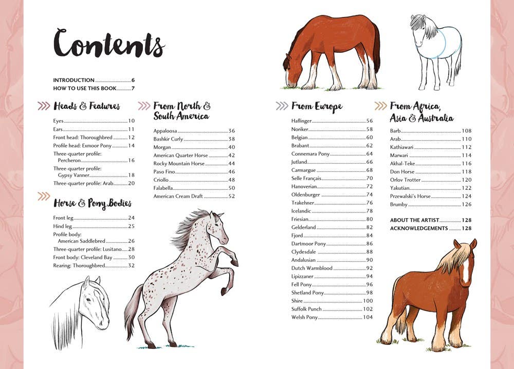 10 Step Drawing Horses & Ponies Book