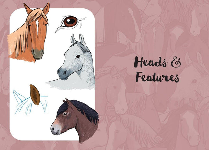 10 Step Drawing Horses & Ponies Book