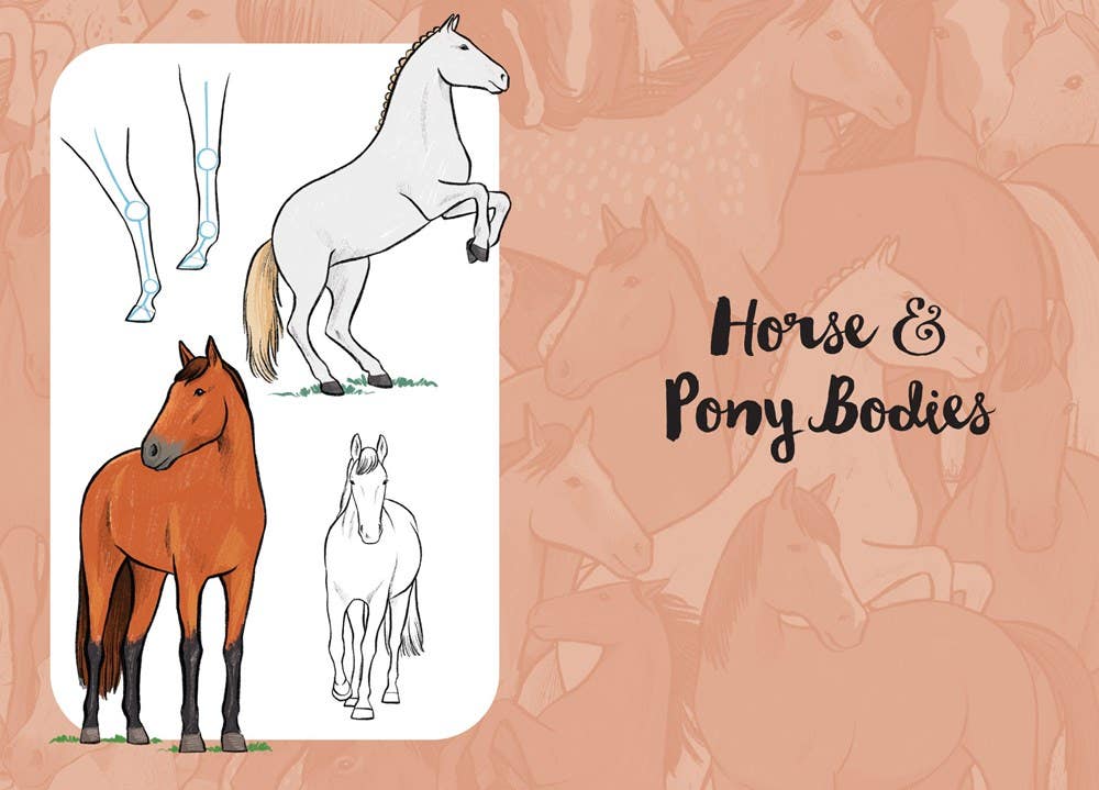 10 Step Drawing Horses & Ponies Book