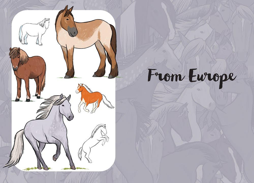 10 Step Drawing Horses & Ponies Book
