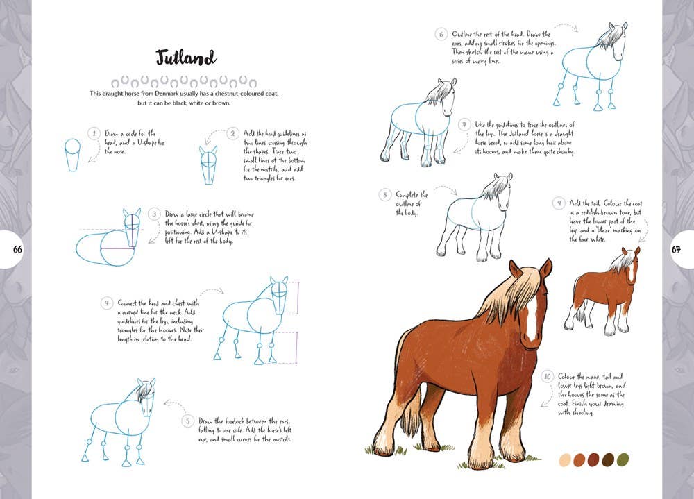 10 Step Drawing Horses & Ponies Book