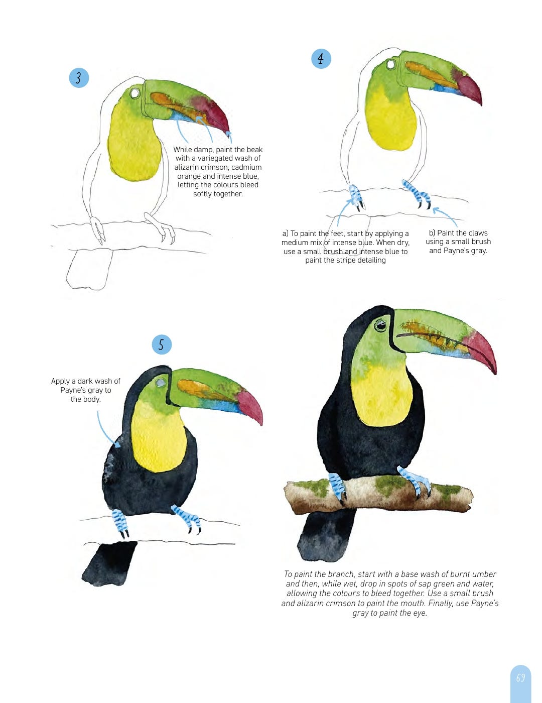 Paint 50 Watercolour Animals Book