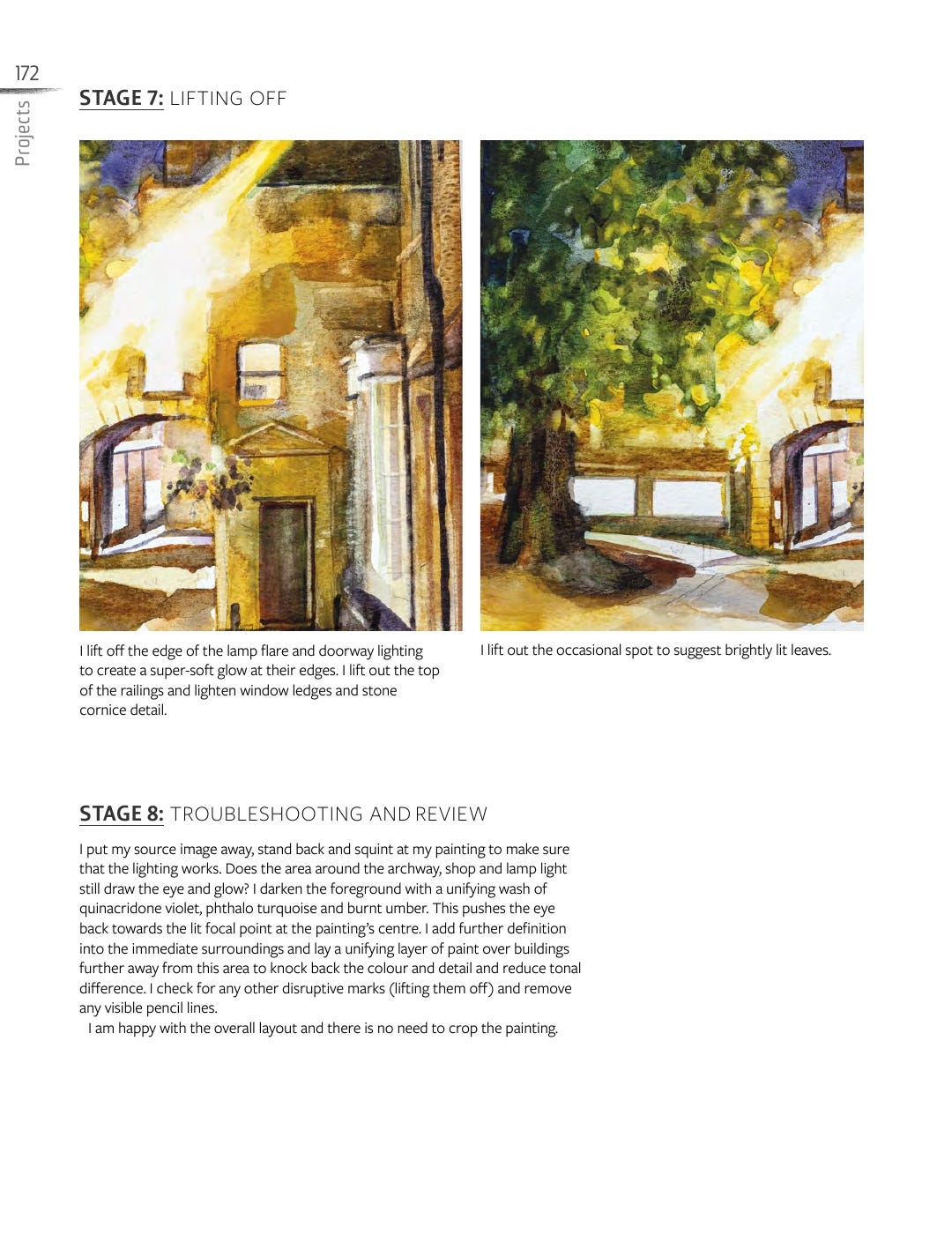The Innovative Artist Capturing Light Book