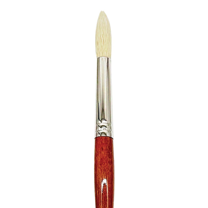 Dynasty Blanca Synthetic Hog Round Brushes