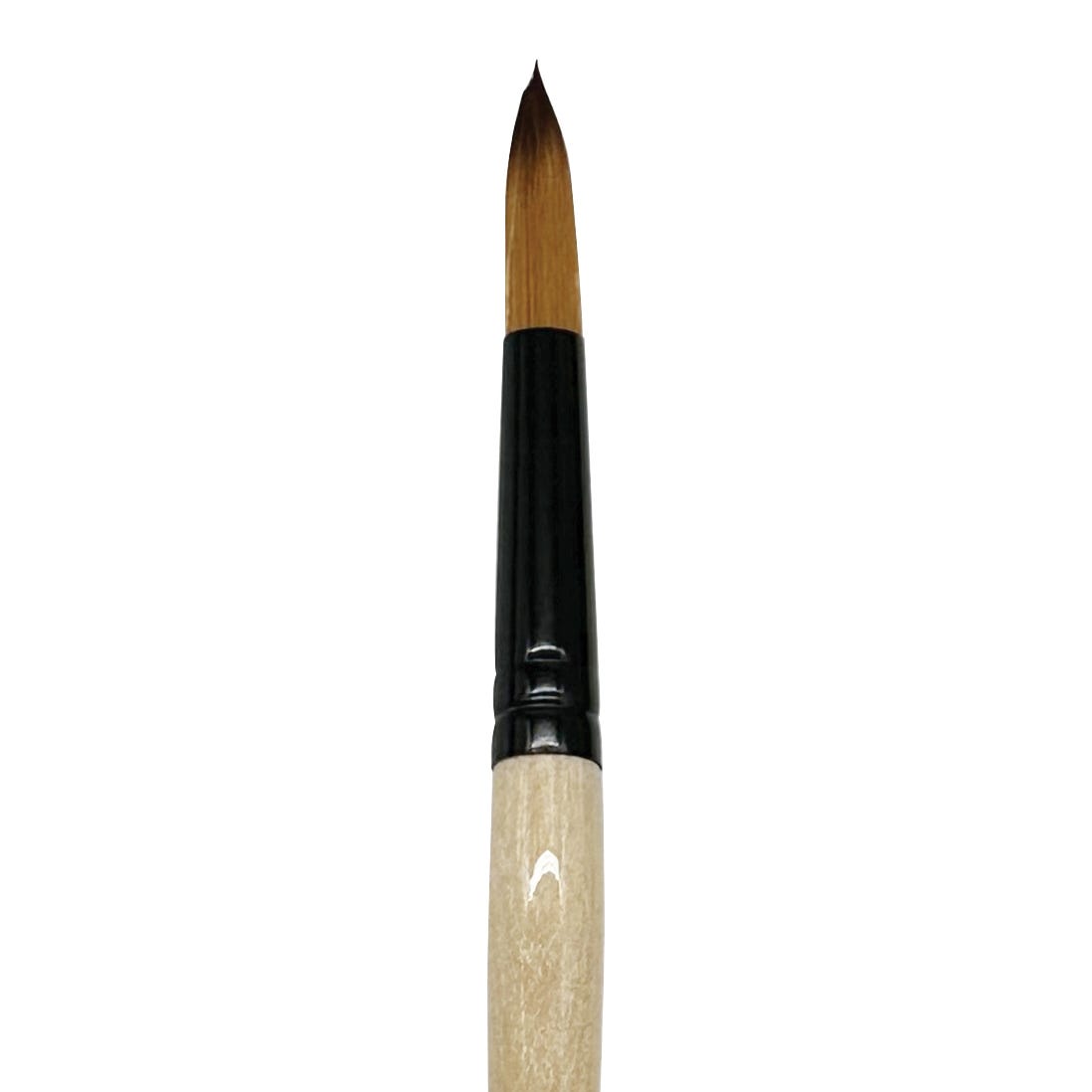 Dynasty Black Gold Synthetic Round Brushes