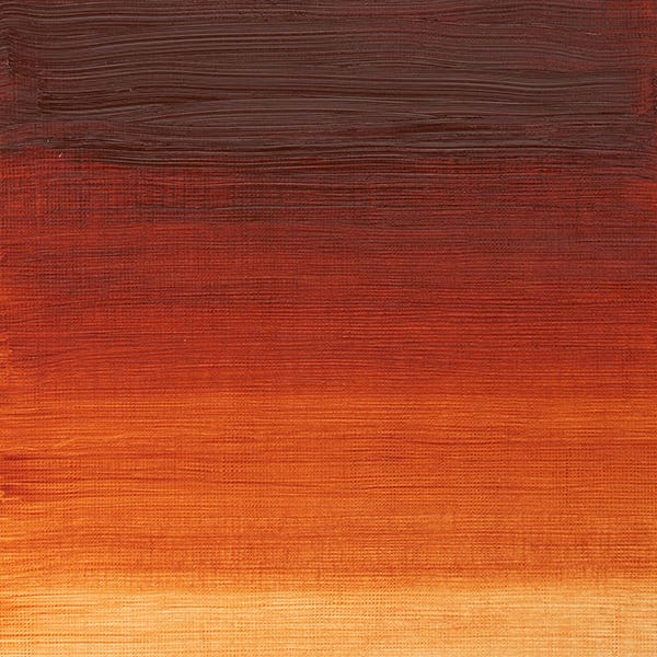 Winsor & Newton Winton Oil Paints 200ml