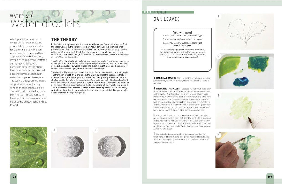 The Easy Guide to Painting Watercolours