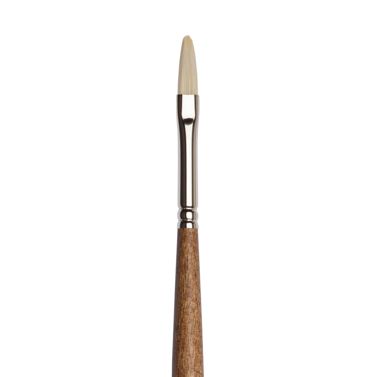 Winsor & Newton Artists' Oil Synthetic Hog Filbert Brushes