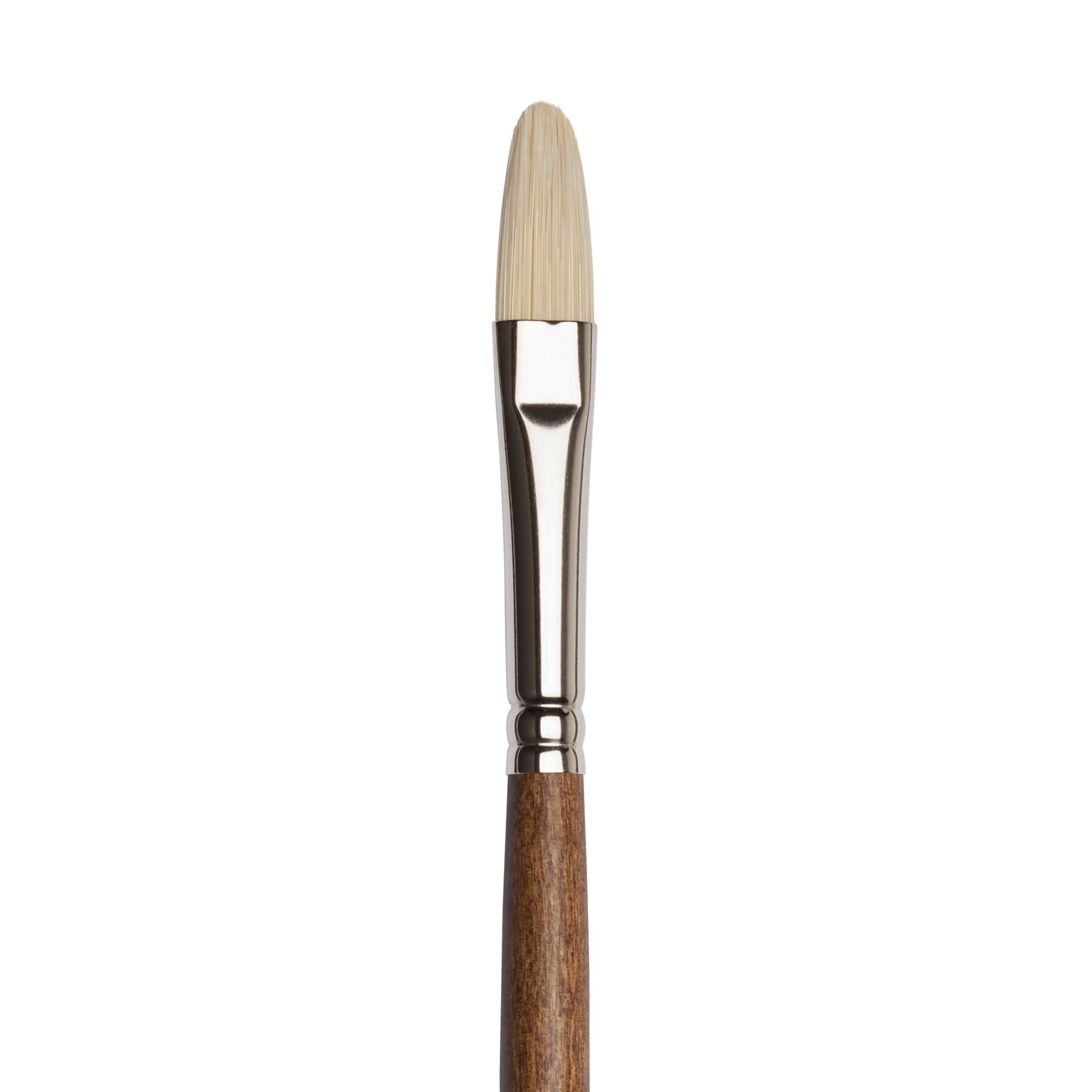 Winsor & Newton Artists' Oil Synthetic Hog Filbert Brushes