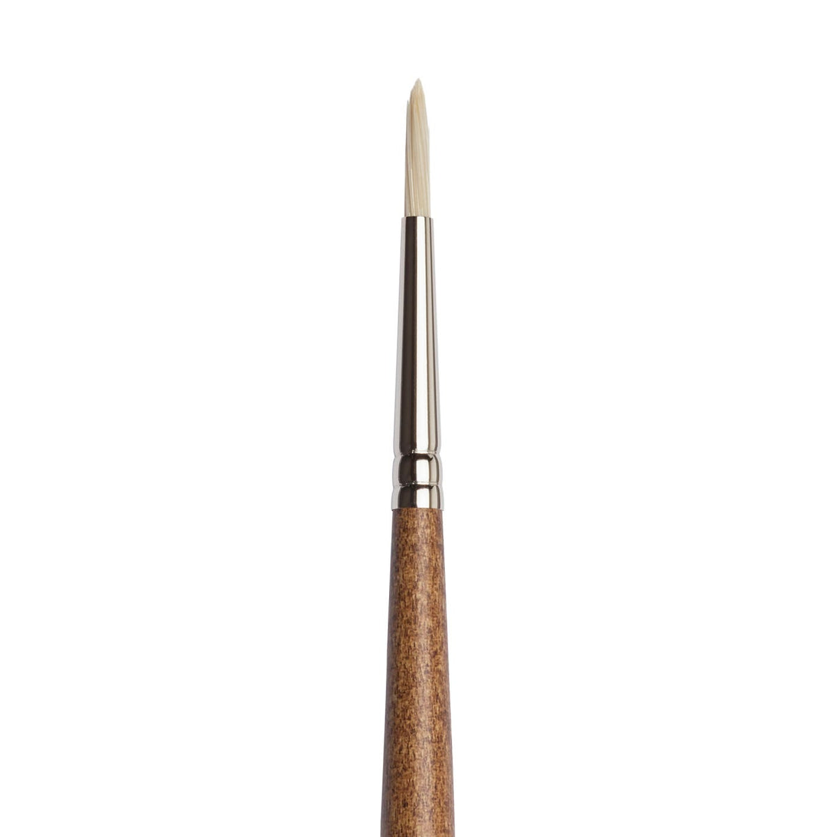 Winsor & Newton Artists' Oil Synthetic Hog Round Brushes