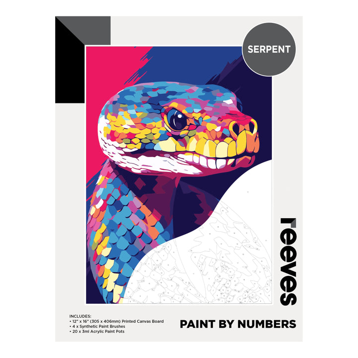 Reeves Artist Acrylic Paint by Numbers Serpent
