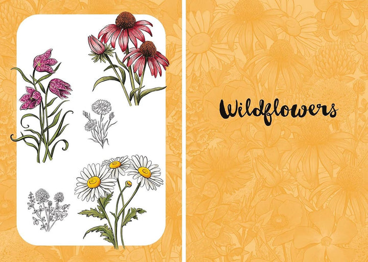 10 Step Drawing Botanicals Book