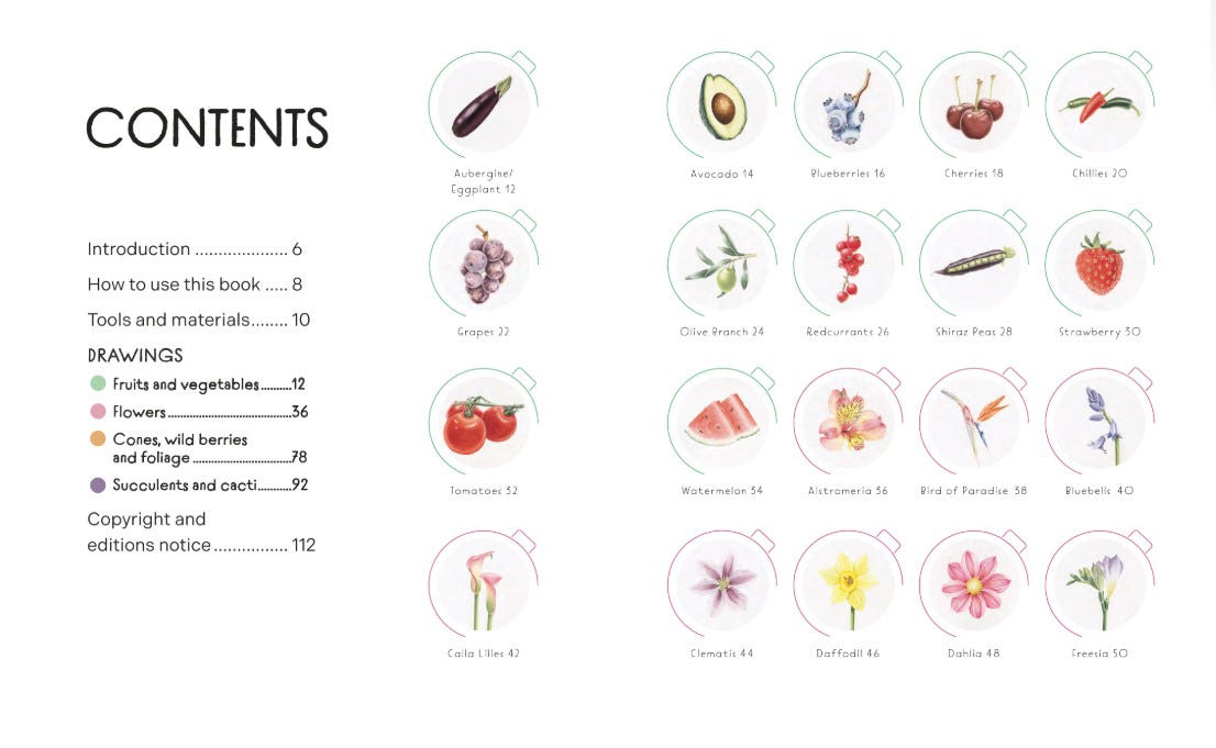 Draw In 10 Minutes Botanicals Book