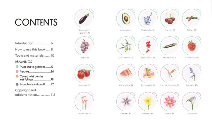 Draw In 10 Minutes Botanicals Book