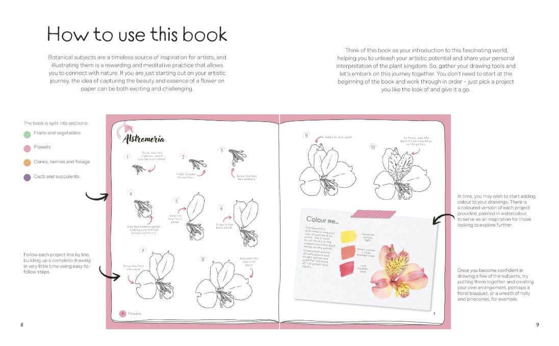 Draw In 10 Minutes Botanicals Book